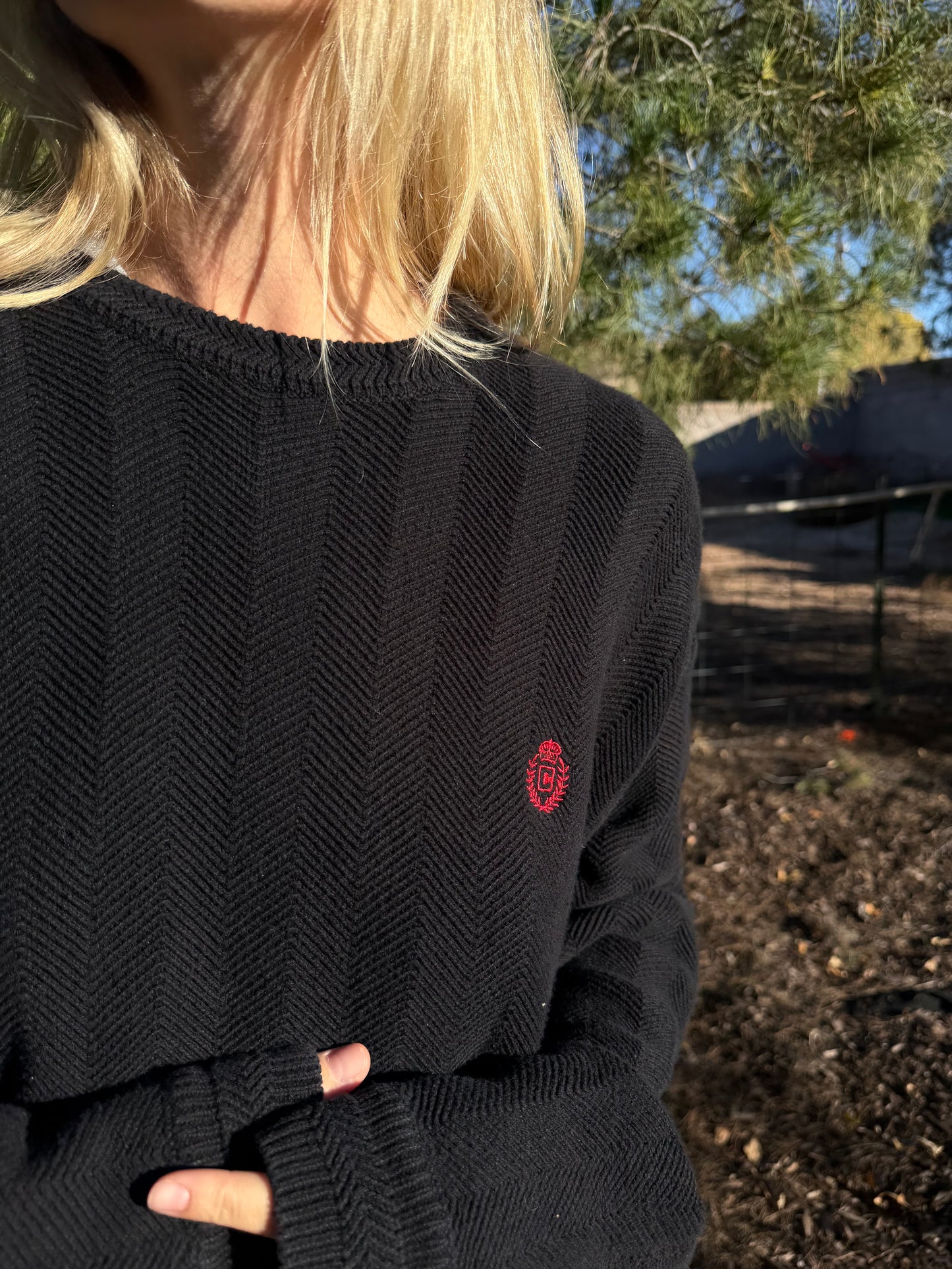 chaps crewneck